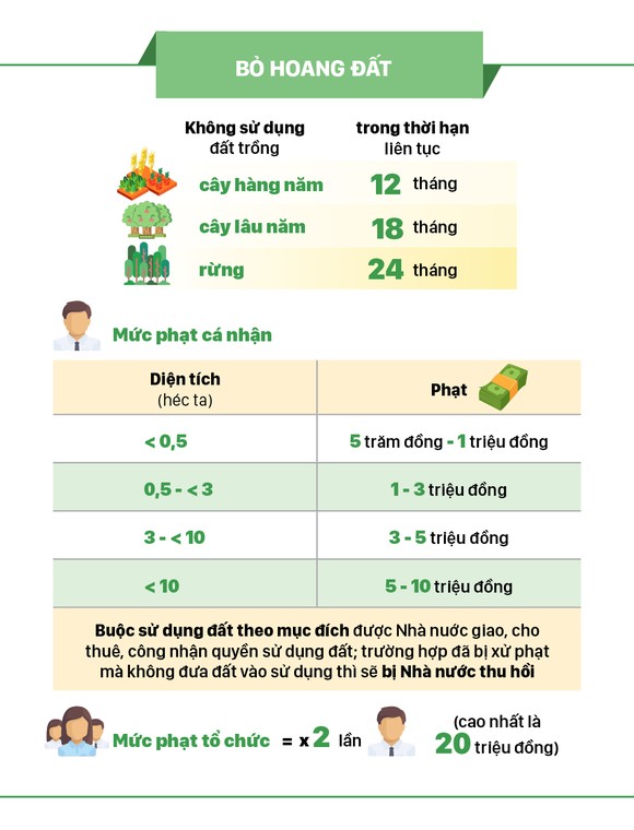 Tự ý chuyển đất trồng lúa sang đất ở phạt tiền tới 1 tỷ đồng ảnh 5