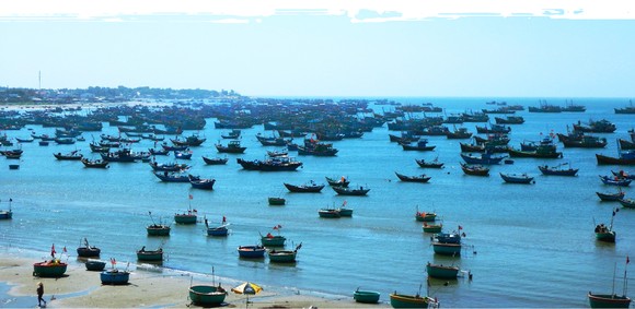Mũi Né được công nhận là Khu du lịch quốc gia ảnh 20