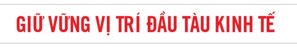 Dấu ấn nhiệm kỳ 2015-2020 ảnh 8