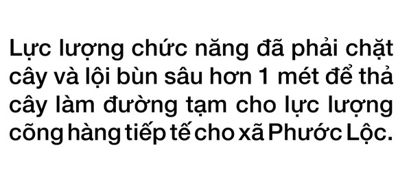 Phước Lộc tan hoang sau bão ảnh 16