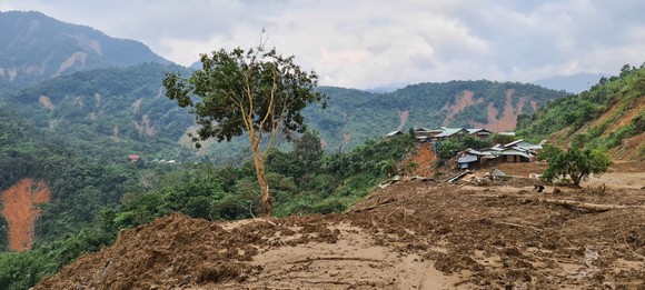 Phước Lộc tan hoang sau bão ảnh 20