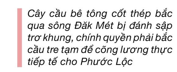 Phước Lộc tan hoang sau bão ảnh 14