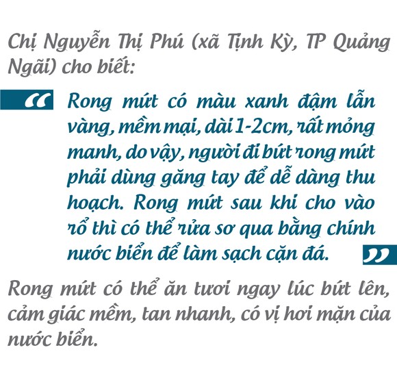 'Lộc biển' trên gành đá ảnh 9