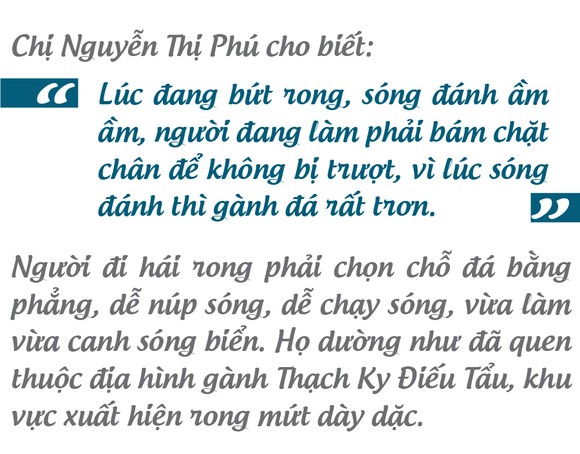 'Lộc biển' trên gành đá ảnh 13