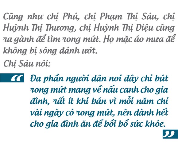 'Lộc biển' trên gành đá ảnh 15