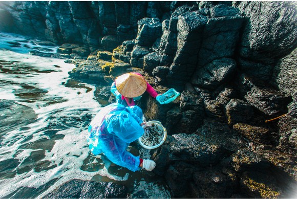 'Lộc biển' trên gành đá ảnh 16