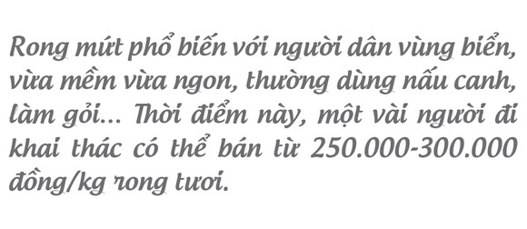 'Lộc biển' trên gành đá ảnh 17
