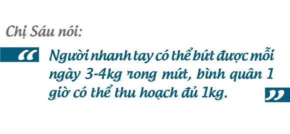 'Lộc biển' trên gành đá ảnh 19