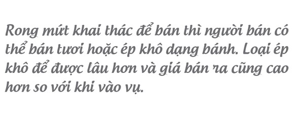 'Lộc biển' trên gành đá ảnh 21