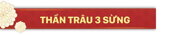 Năm Sửu nói chuyện lạ trâu, bò ảnh 1