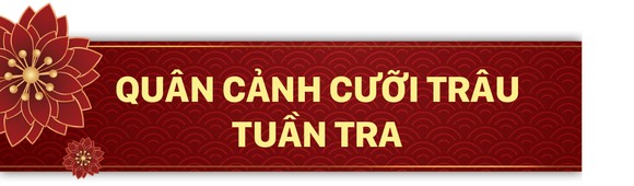 Năm Sửu nói chuyện lạ trâu, bò ảnh 7