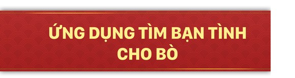 Năm Sửu nói chuyện lạ trâu, bò ảnh 23