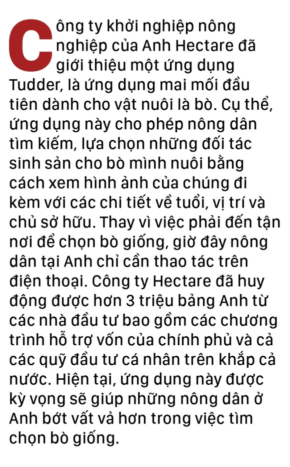 Năm Sửu nói chuyện lạ trâu, bò ảnh 24