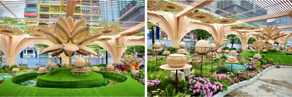 Phòng dịch Covid-19 khi tham quan Đường hoa Nguyễn Huệ ảnh 12