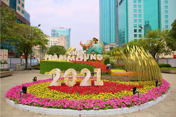 Phòng dịch Covid-19 khi tham quan Đường hoa Nguyễn Huệ ảnh 17