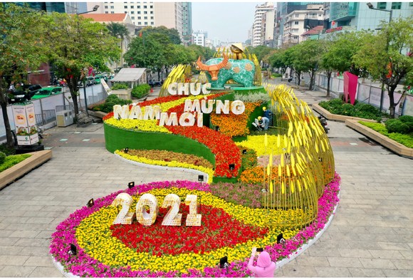 Phòng dịch Covid-19 khi tham quan Đường hoa Nguyễn Huệ ảnh 3