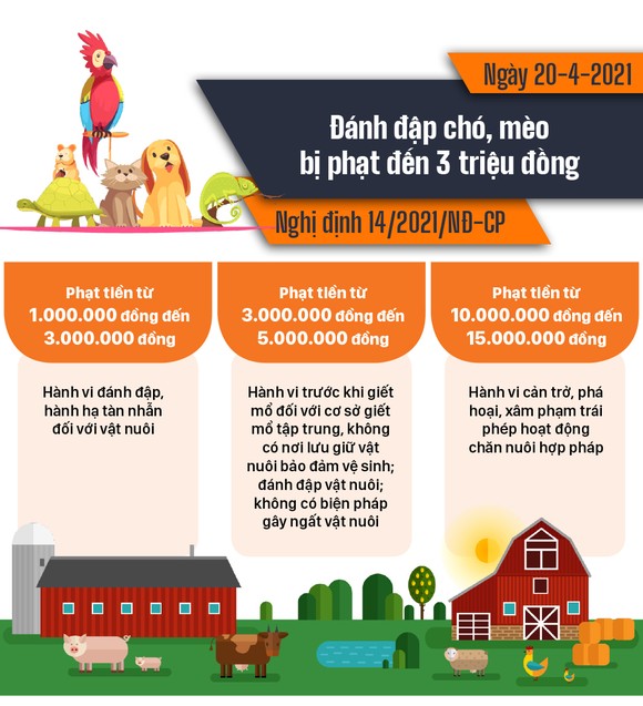 Những chính sách có hiệu lực từ tháng 4-2021 ảnh 4