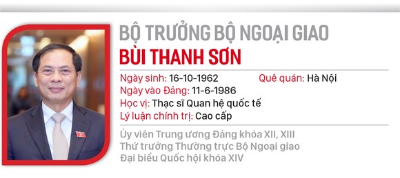 Chân dung 28 thành viên chính phủ ảnh 10
