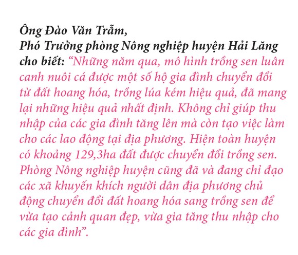 Nông dân dầm mình dưới bùn thu hoạch sen ảnh 30