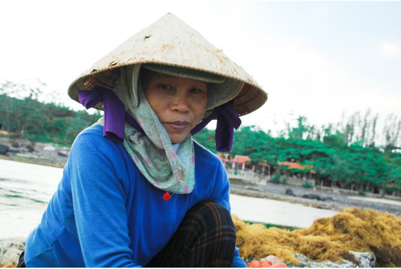 Vẻ đẹp của rong mơ biển trong mùa thu hoạch ảnh 13