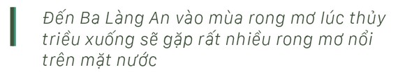 Vẻ đẹp của rong mơ biển trong mùa thu hoạch ảnh 39