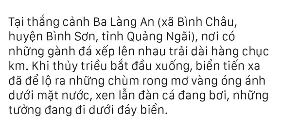 Vẻ đẹp của rong mơ biển trong mùa thu hoạch ảnh 6