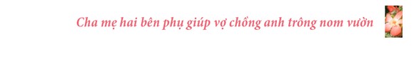 Sâm Bố Chính nở hoa rực rỡ trên đất Quảng Ngãi ảnh 17