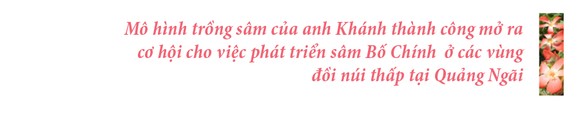 Sâm Bố Chính nở hoa rực rỡ trên đất Quảng Ngãi ảnh 37