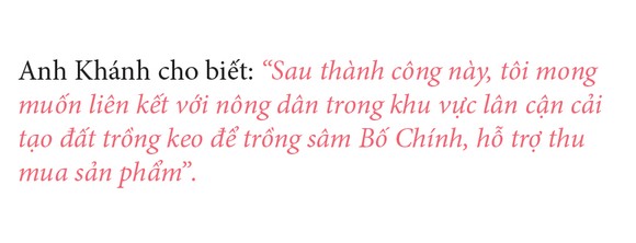 Sâm Bố Chính nở hoa rực rỡ trên đất Quảng Ngãi ảnh 41