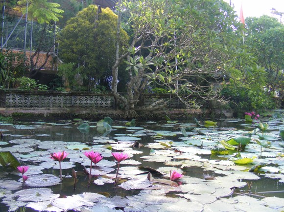 Nét độc đáo làng cổ Đông Sơn ảnh 4