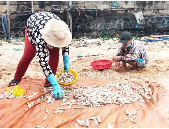 Hối hả vươn khơi ngày mở cửa biển sau giãn cách ảnh 11
