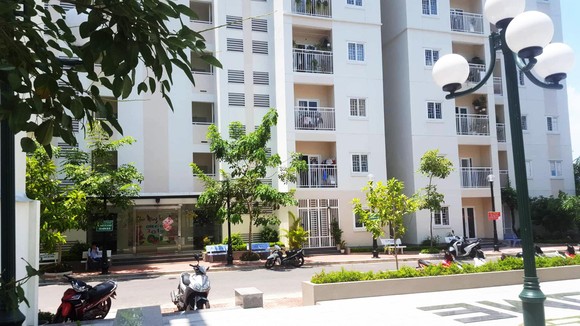 Thanh niên có hành vi “quái đản” với cô gái trong thang máy chung cư ảnh 3