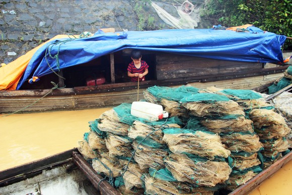 Quảng Trị nỗ lực tìm kiếm 11 người bị lũ cuốn mất tích ảnh 16