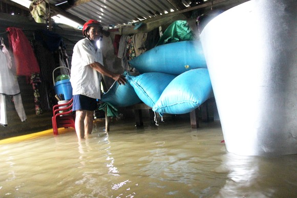 Bão đi qua, hàng ngàn nhà dân ngập sâu trong biển nước ảnh 5