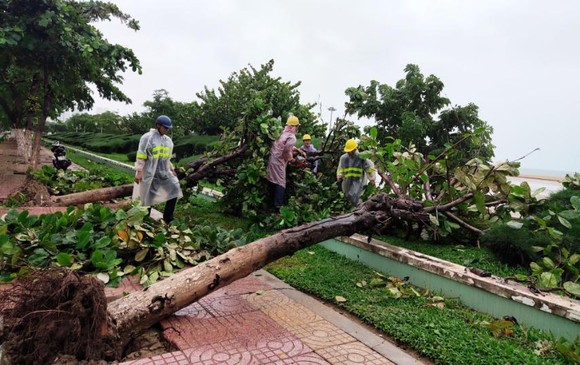 Những thiệt hại ban đầu của cơn bão số 12 ảnh 3