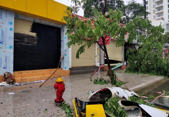 Những thiệt hại ban đầu của cơn bão số 12 ảnh 5