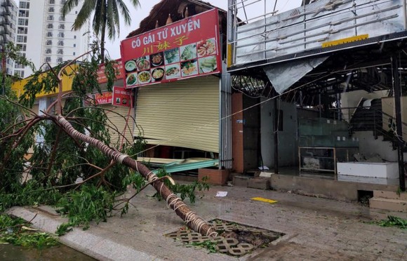 Những thiệt hại ban đầu của cơn bão số 12 ảnh 6