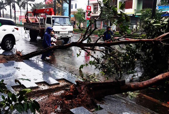 Những thiệt hại ban đầu của cơn bão số 12 ảnh 21