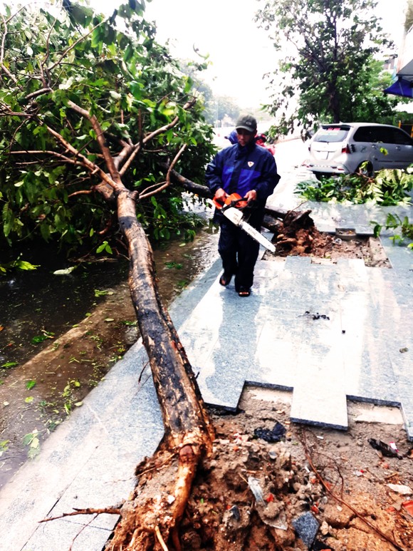 Những thiệt hại ban đầu của cơn bão số 12 ảnh 22