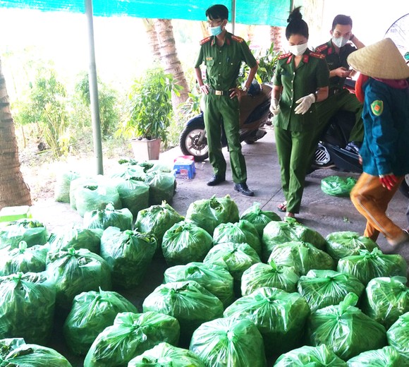 TP Tuy Hòa kêu gọi ủng hộ phòng, chống dịch Covid-19 ảnh 3