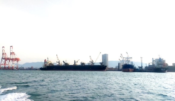 Phát hiện 7 thuyền viên từ Indonesia vào cảng Quy Nhơn nghi mắc Covid-19 ảnh 1