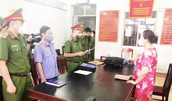 Bắt nữ đại gia bất động sản Quy Nhơn trốn thuế trên 2 tỷ đồng ảnh 1