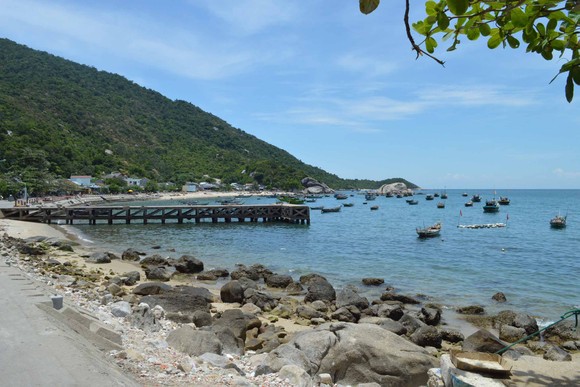 Bảo tồn và phát triển bền vững Cù Lao Chàm ảnh 2