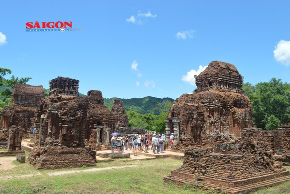Đầu tư hơn 96 tỷ đồng cho dự án bảo vệ phục hồi sinh thái rừng Mỹ Sơn ảnh 2