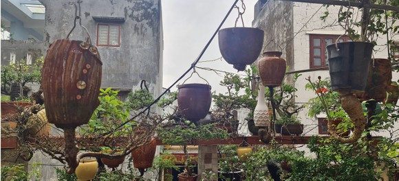 Khám phá vườn bonsai mọc ngược giữa phố ảnh 21