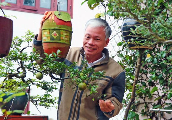 Khám phá vườn bonsai mọc ngược giữa phố ảnh 12