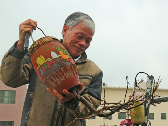 Khám phá vườn bonsai mọc ngược giữa phố ảnh 2