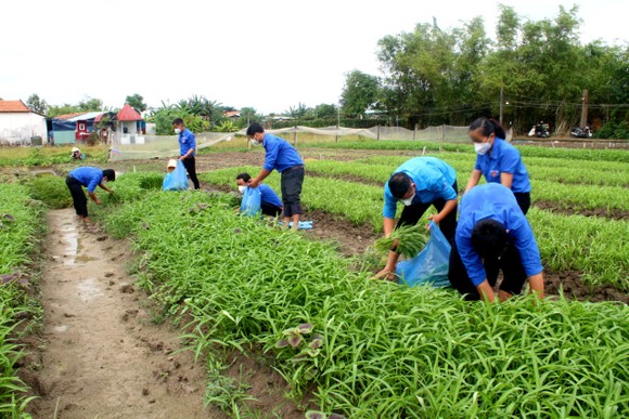 Tỉnh đoàn Long An khen thưởng các thanh niên tiêu biểu trong phòng, chống dịch ảnh 1