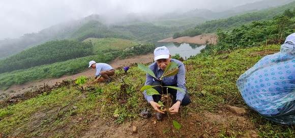 Khôi phục rừng đầu nguồn sông Gianh ảnh 1