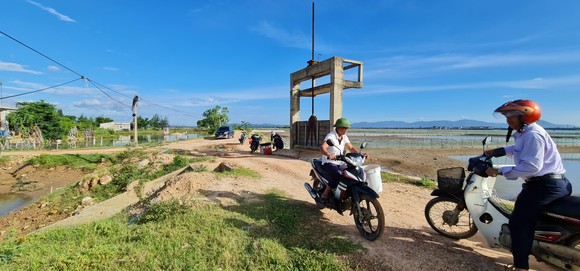 Hoàn thành dự án nâng cấp hạ tầng nuôi trồng thủy sản Nam, Bắc sông Gianh ảnh 2